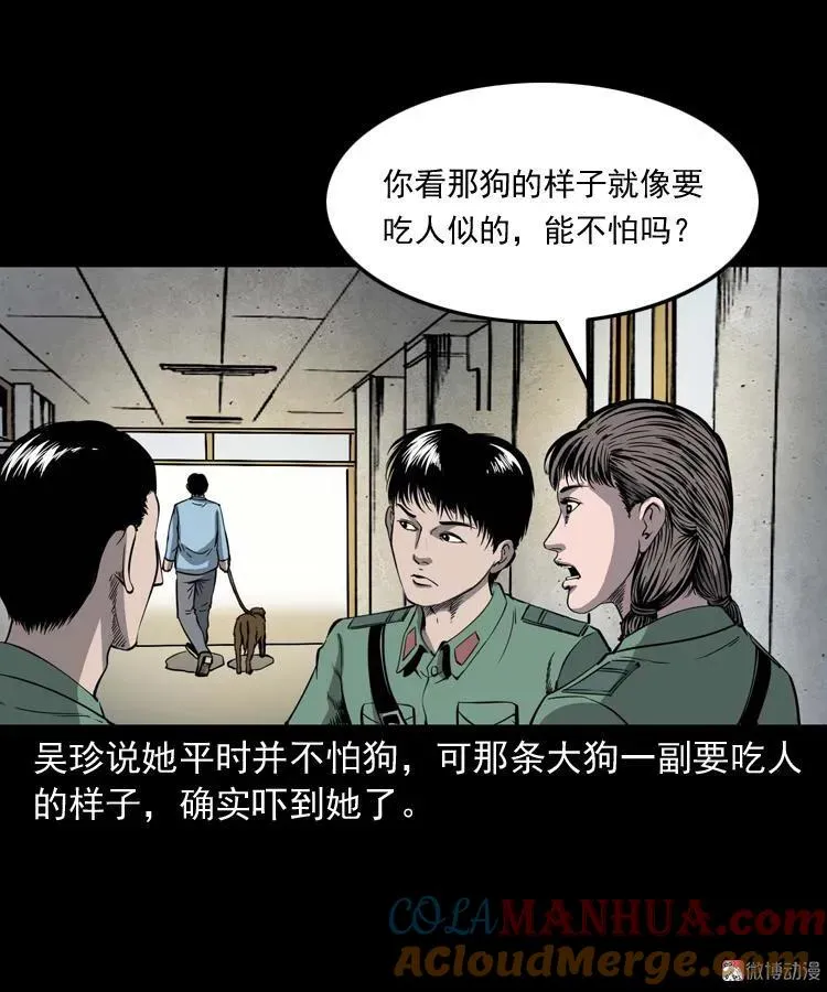 消失的妻子12