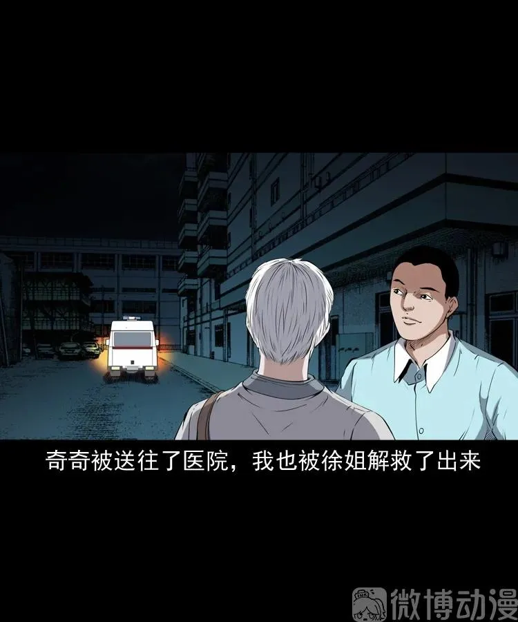 白头翁之猫灵89