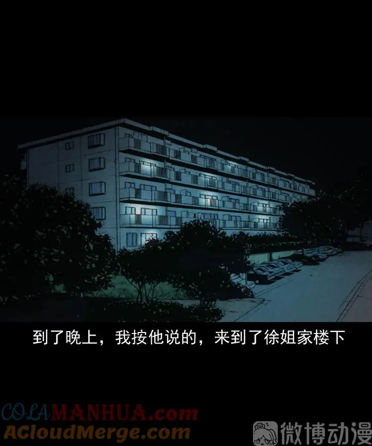白头翁之猫灵60