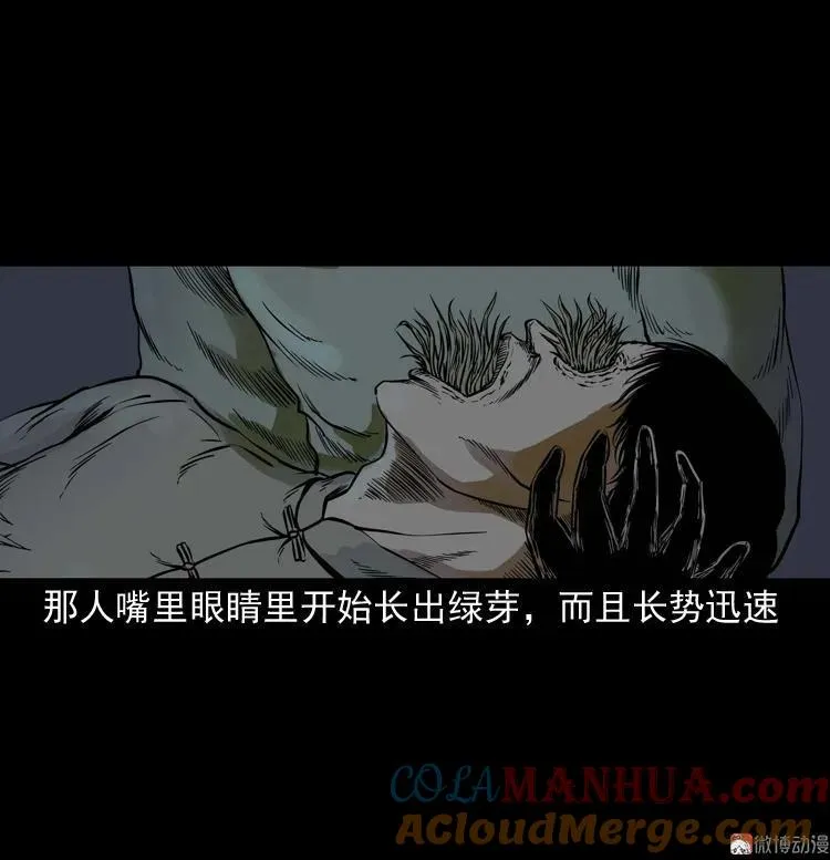 稻草人39