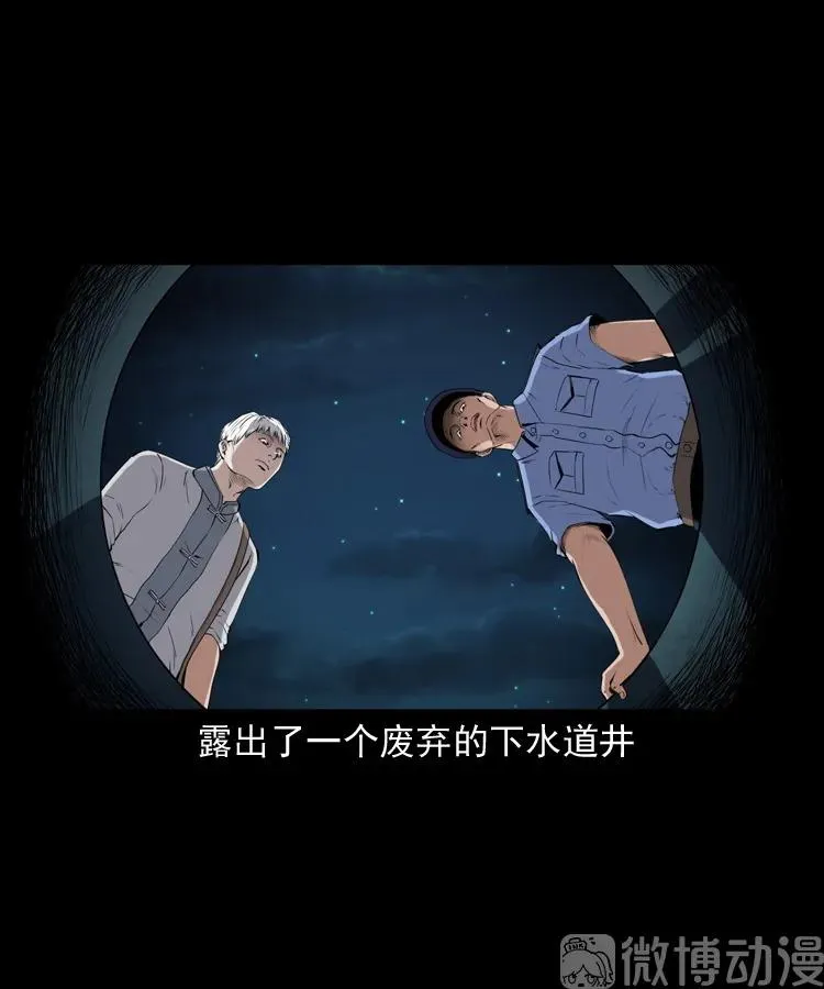 白头翁之猫灵87