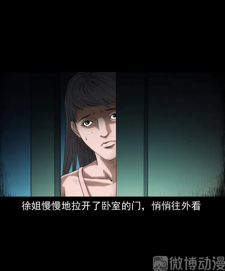 白头翁之猫灵31