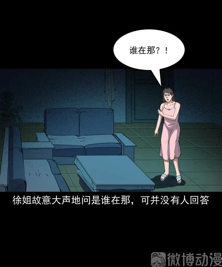 白头翁之猫灵33