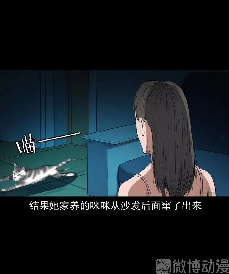 白头翁之猫灵35