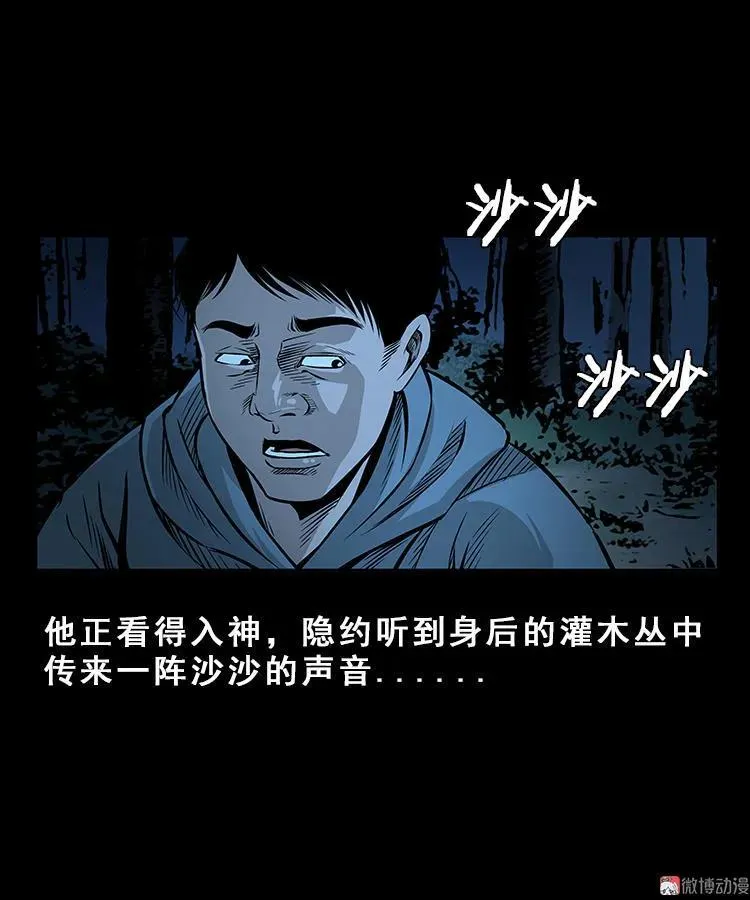 人面獾7