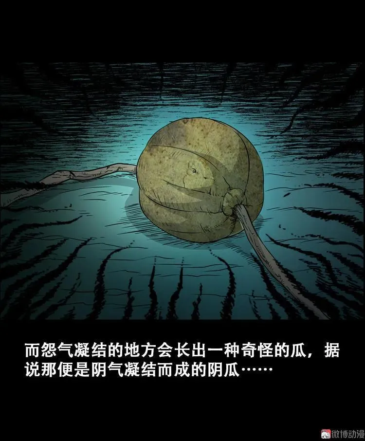 北瓜（上）50