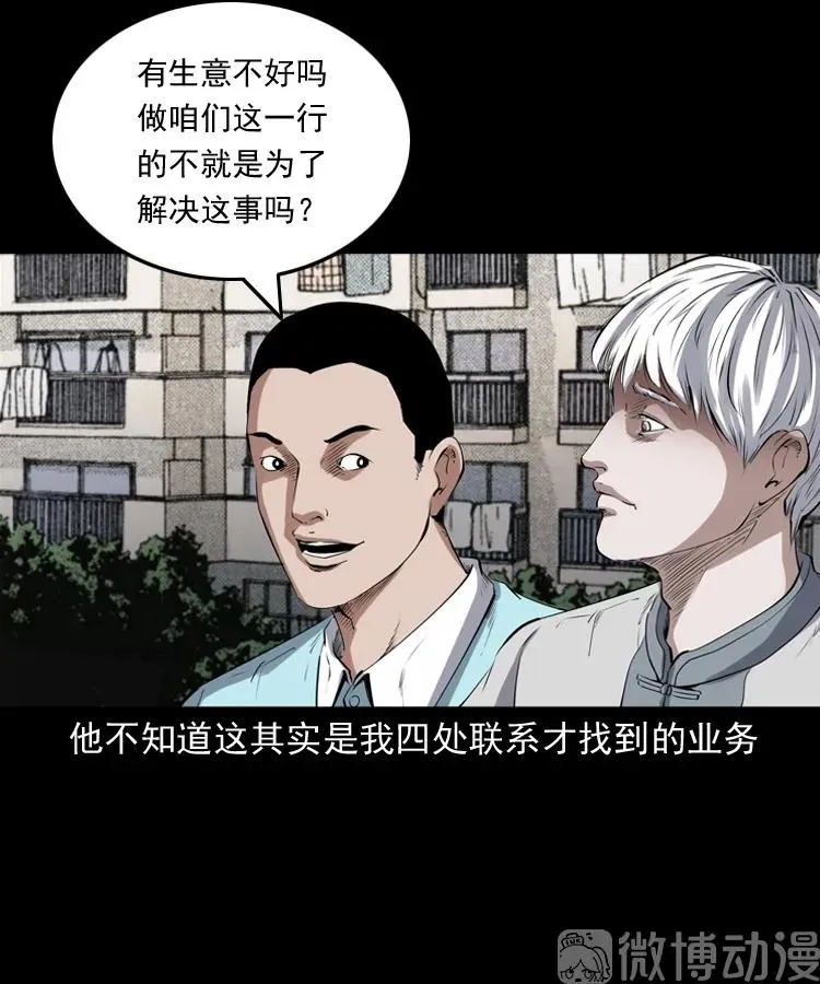 白头翁之猫灵5