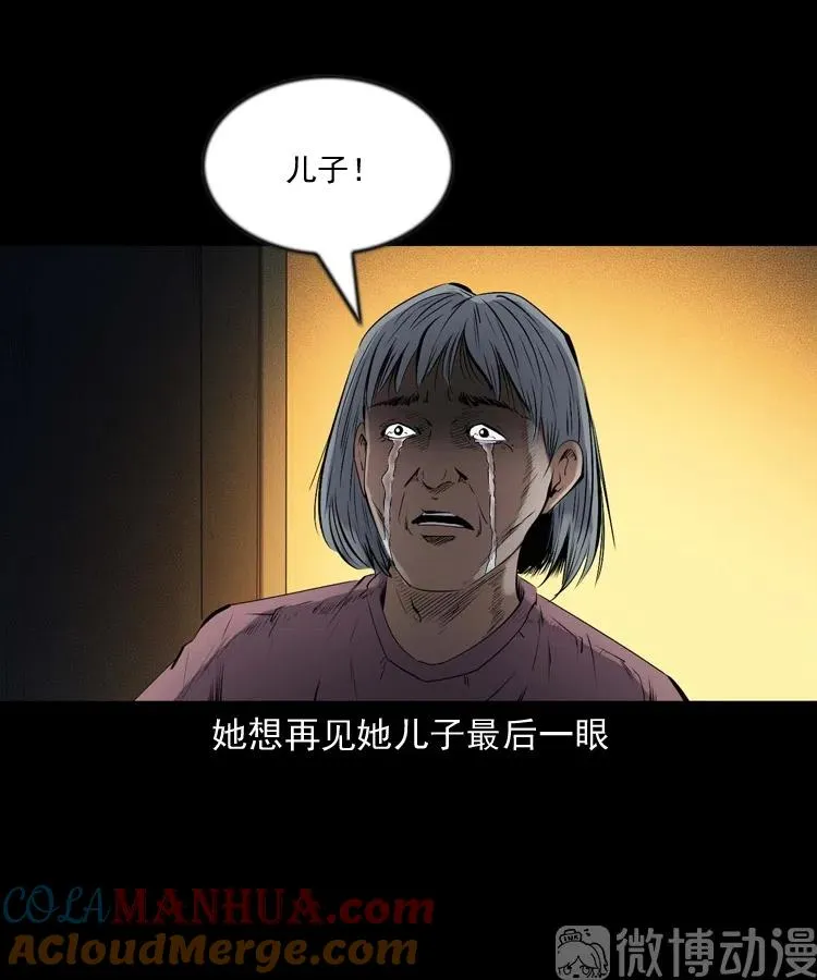 回来的逆子81
