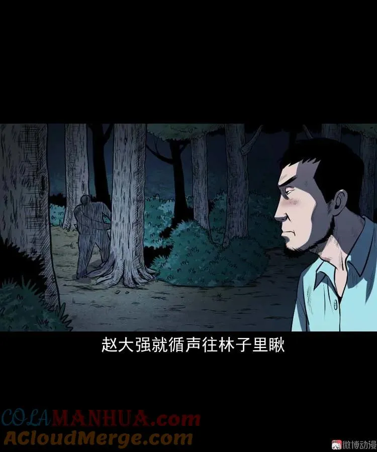 棺材精15