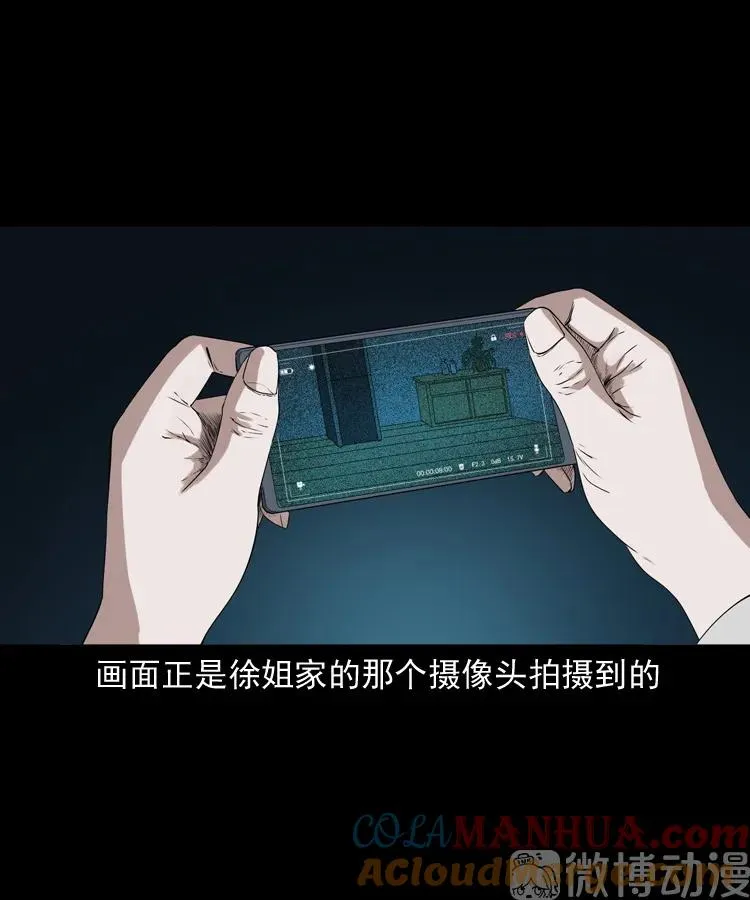 白头翁之猫灵64