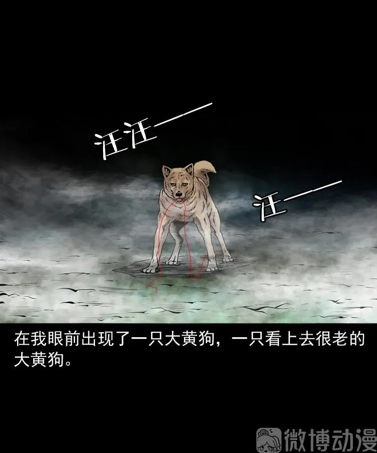 白头翁之抢魂（下）49