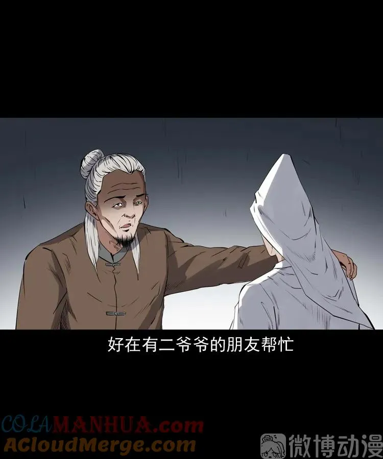 白头翁之诈尸上集45