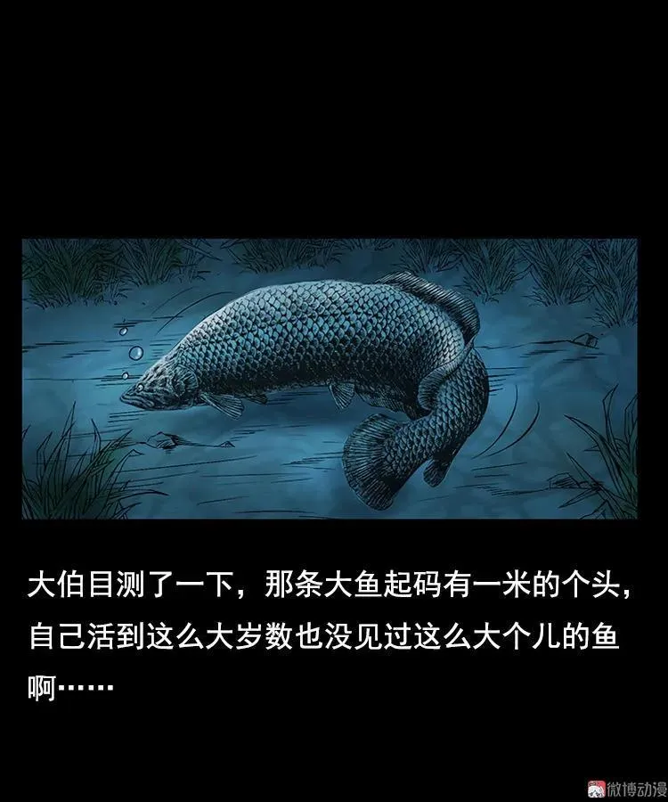 大鱼13