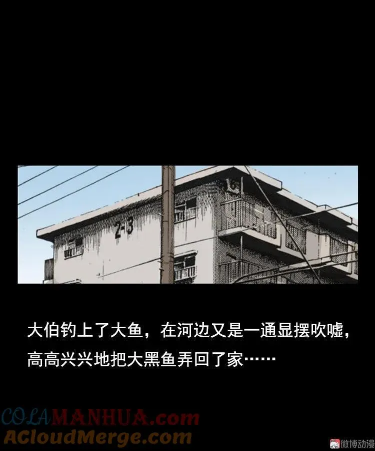 大鱼27