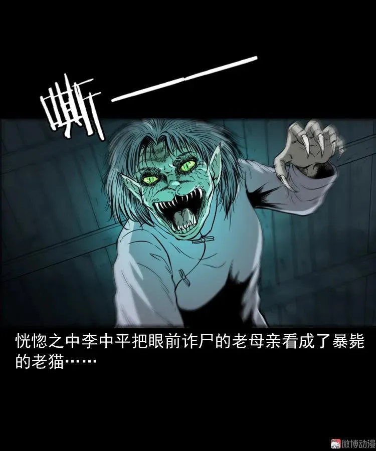 猫老太事件50