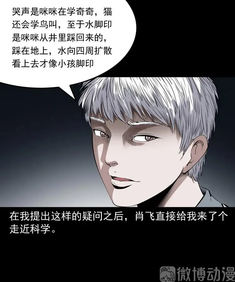 白头翁之猫灵95