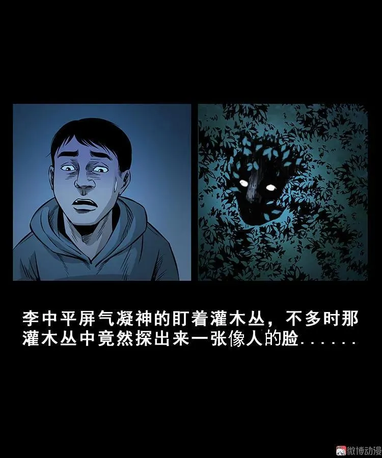 人面獾10