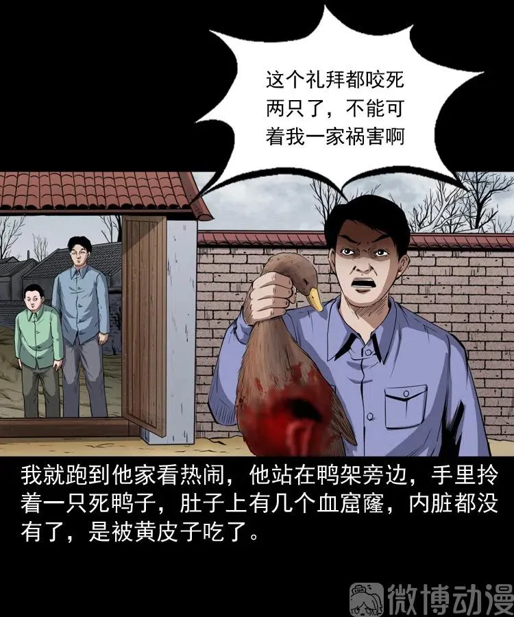 仙家异闻8