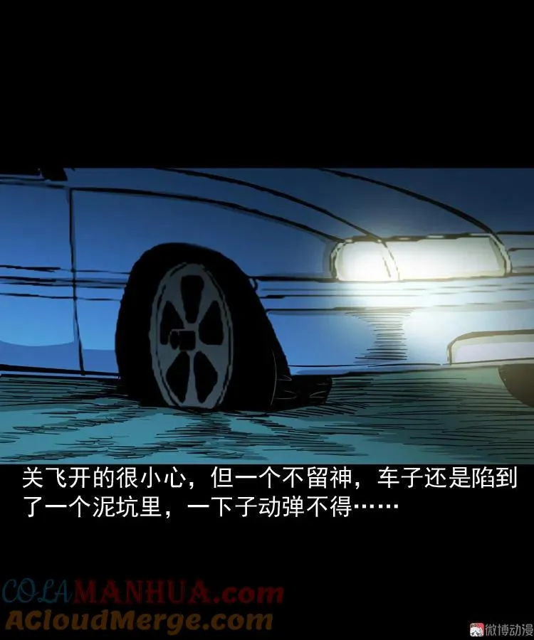 饺子12