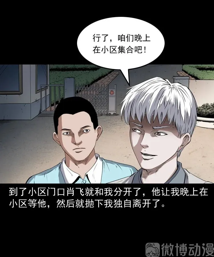 白头翁之猫灵59
