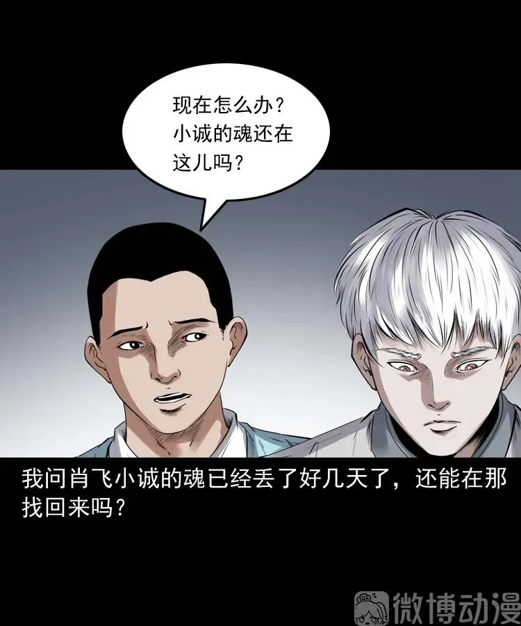 白头翁之抢魂（上）49