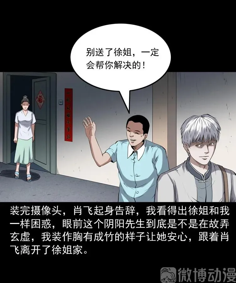 白头翁之猫灵58