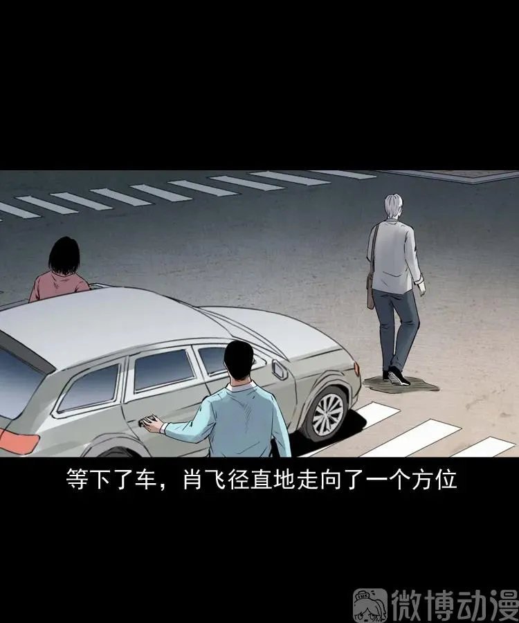 白头翁之抢魂（上）35