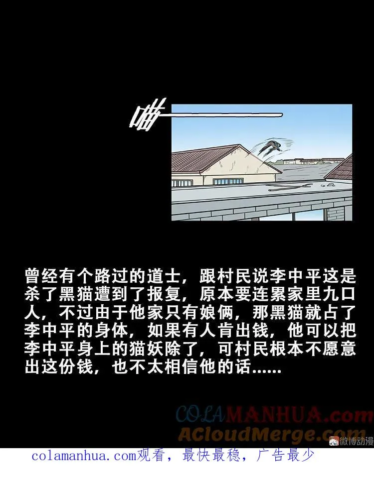 黑猫40