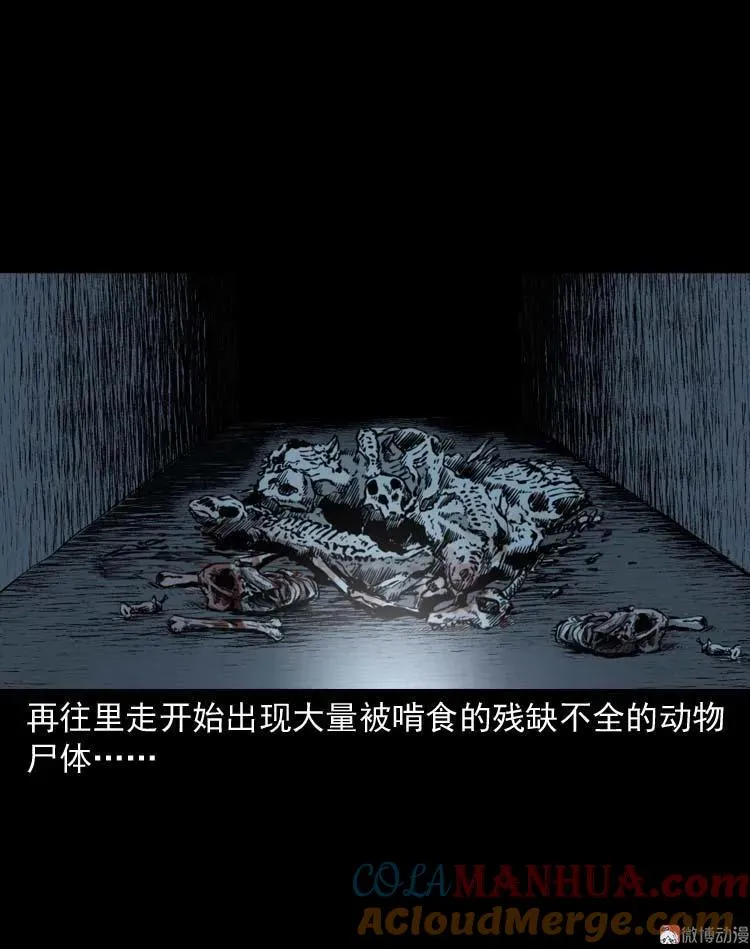怪物48
