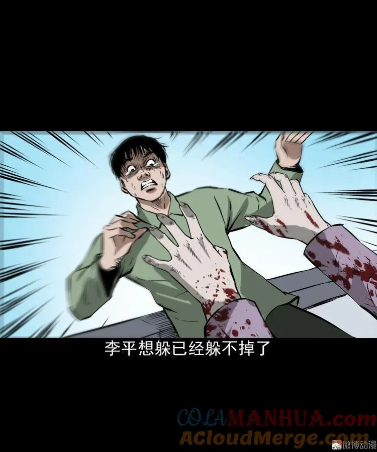 真相51