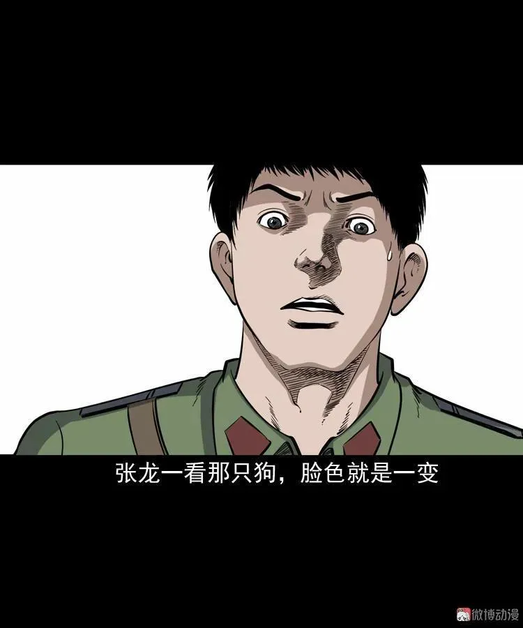 僵尸事件（一）93