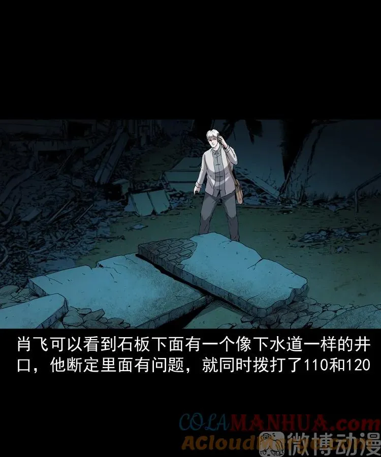 白头翁之猫灵84