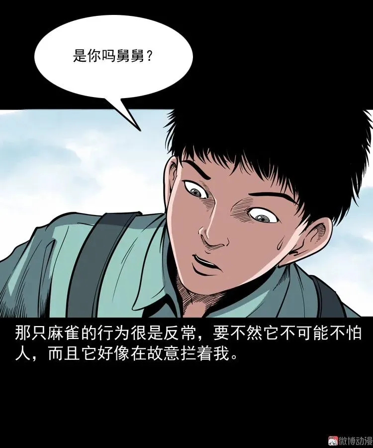 舅舅的故事65