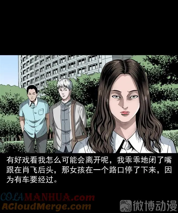 白头翁之恶咒21