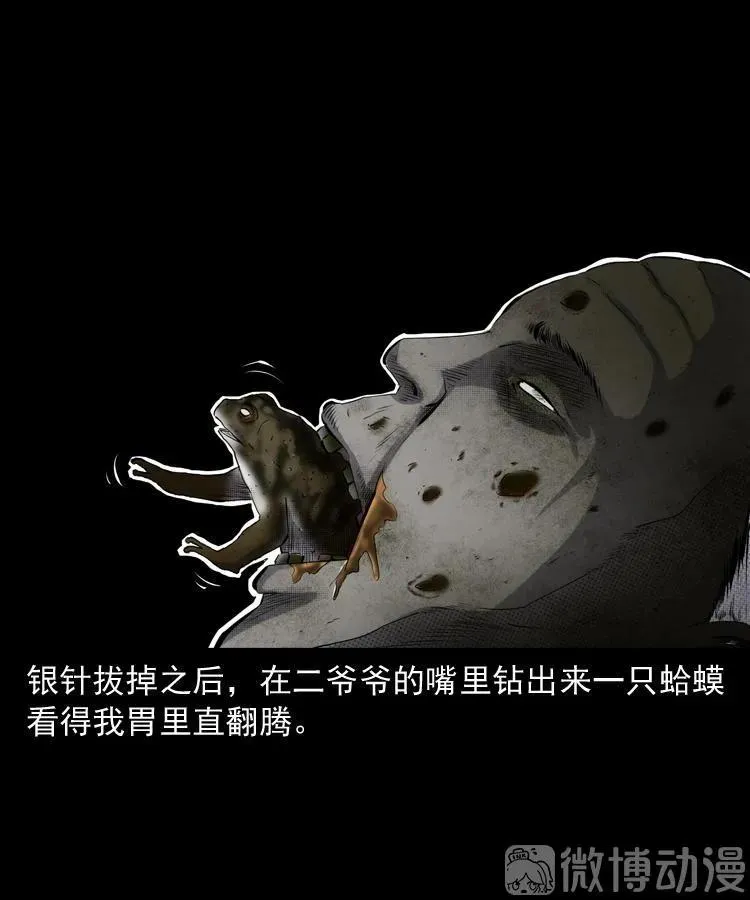 白头翁之诈尸下集71
