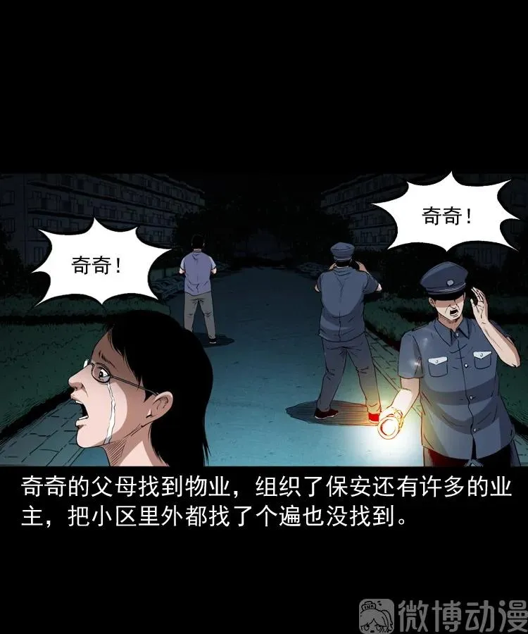 白头翁之猫灵25
