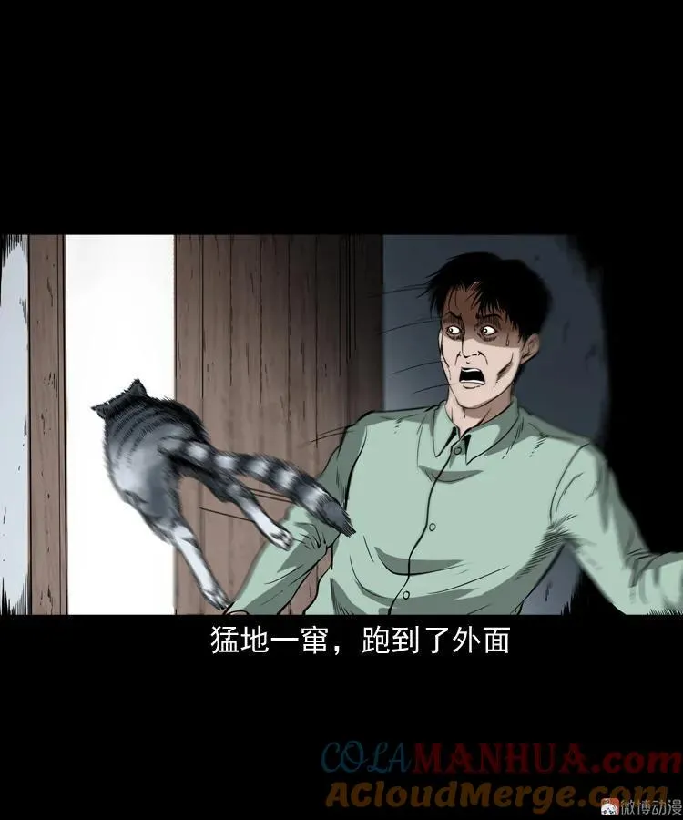 猫老太事件28