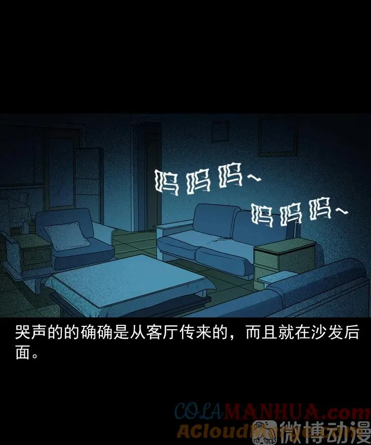 白头翁之猫灵32
