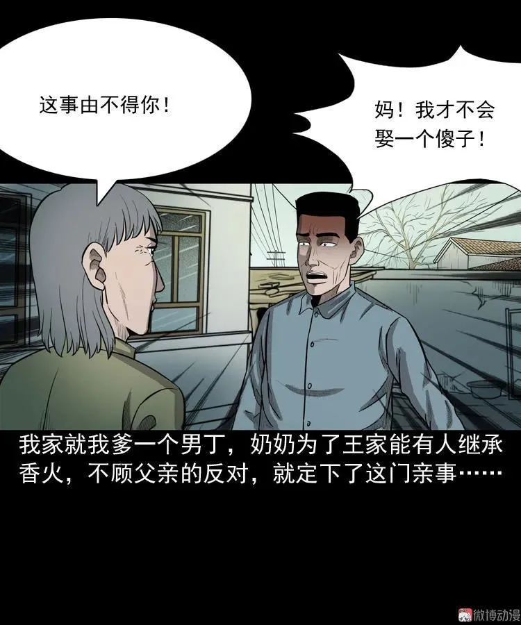 我的傻娘5
