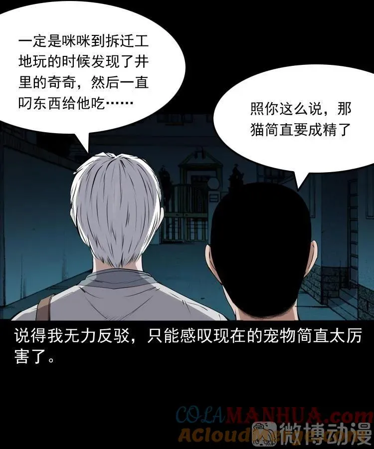 白头翁之猫灵96