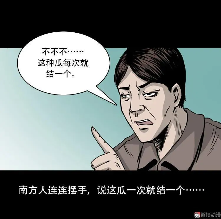 北瓜（下）35