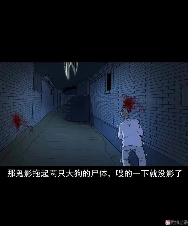 失踪案 245