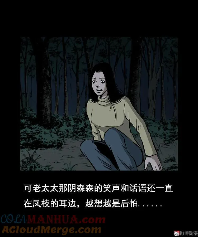 花柳树33