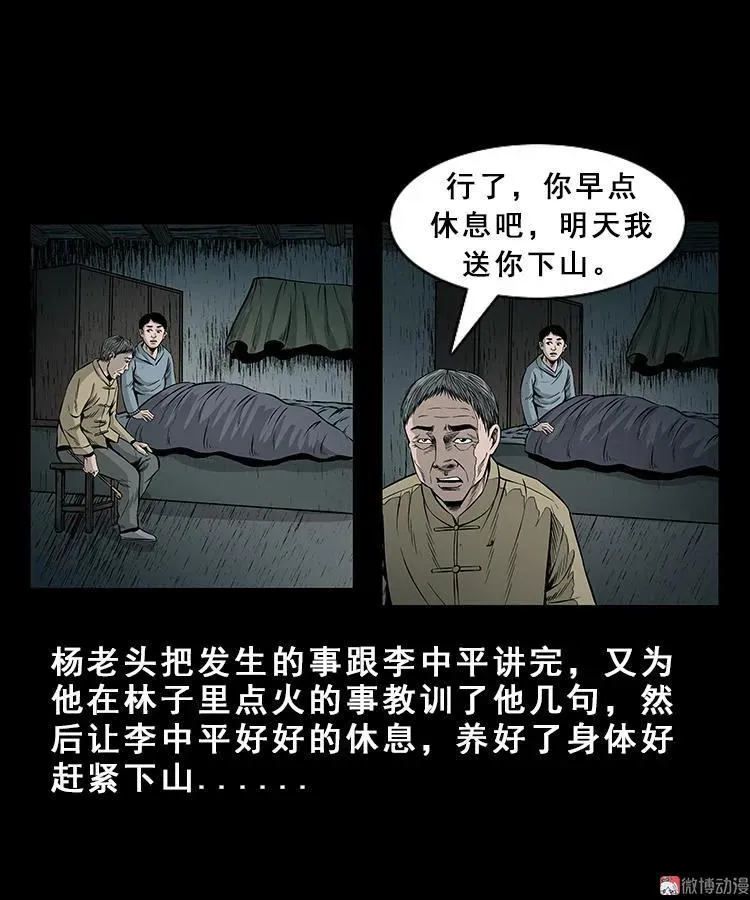 人面獾44