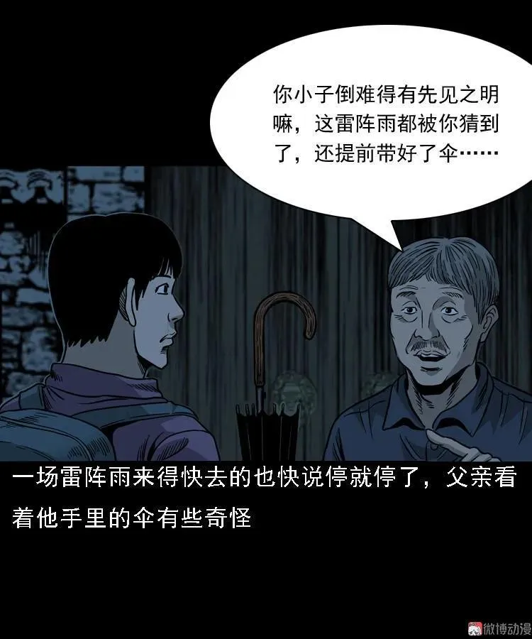 伞中魂28