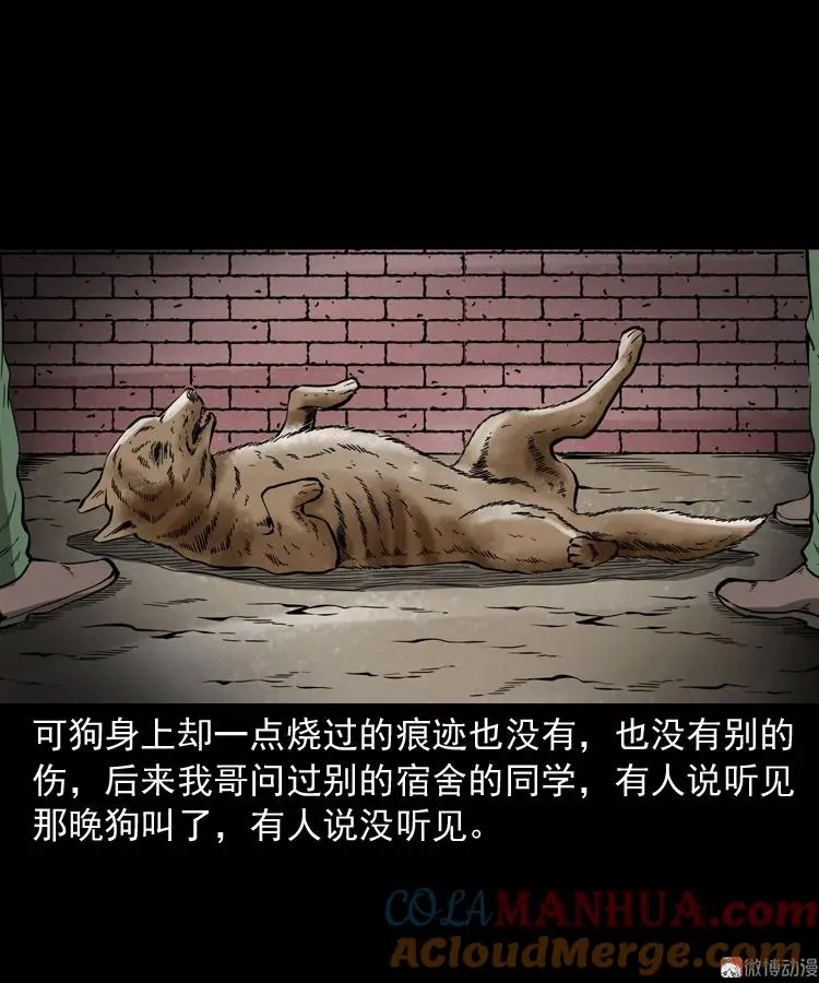 鬼火84