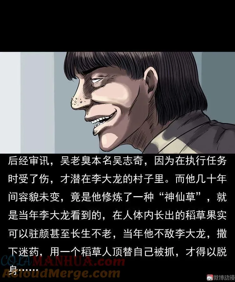 稻草人87