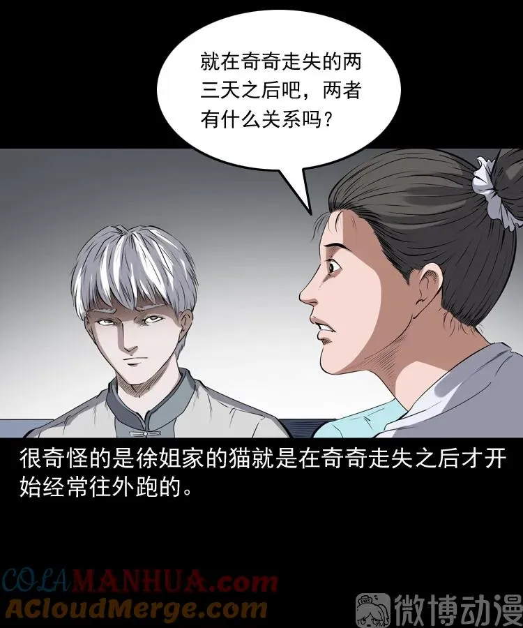 白头翁之猫灵44