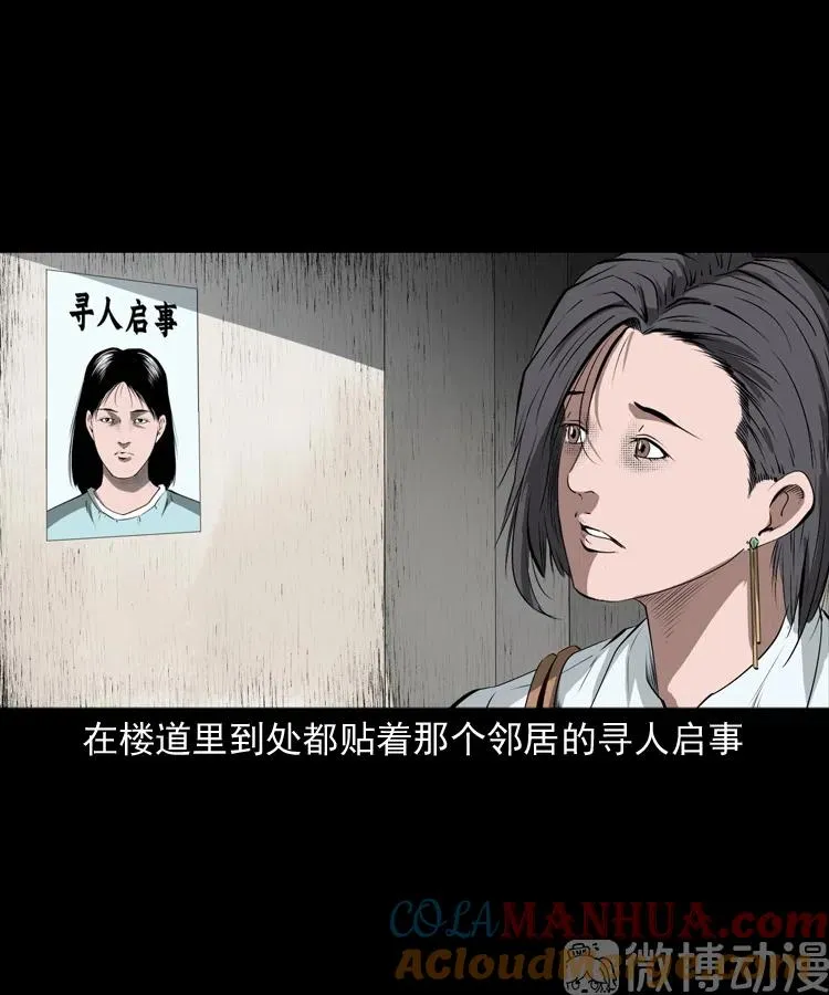失踪的邻居54
