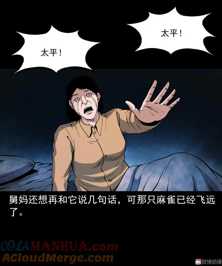 舅舅的故事48